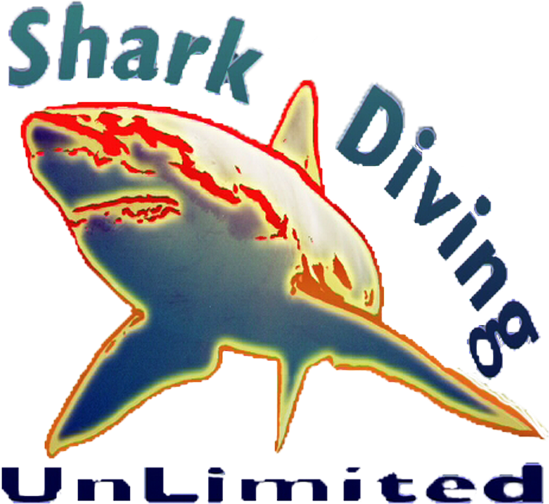 Next - Great White Shark (1798x746), Png Download