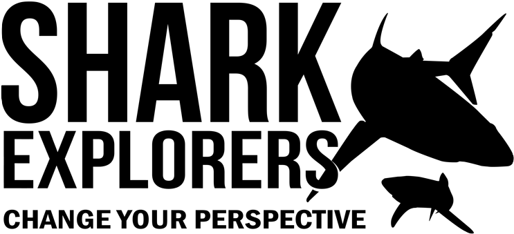 Shark Explorers Logoadmin2018 01 15t15 - Algocharge (800x392), Png Download