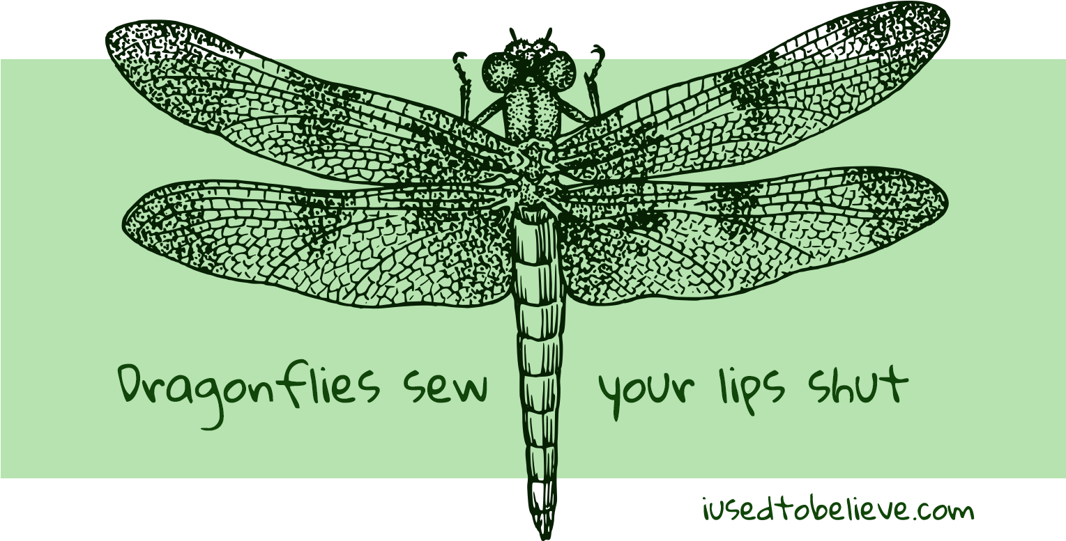 Black And White Dragonfly Drawing (1528x800), Png Download