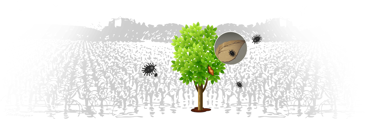Farms - Illustration (1163x379), Png Download