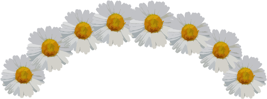 Ftestickers Sticker - Daisy Flower Crown Png (1024x556), Png Download