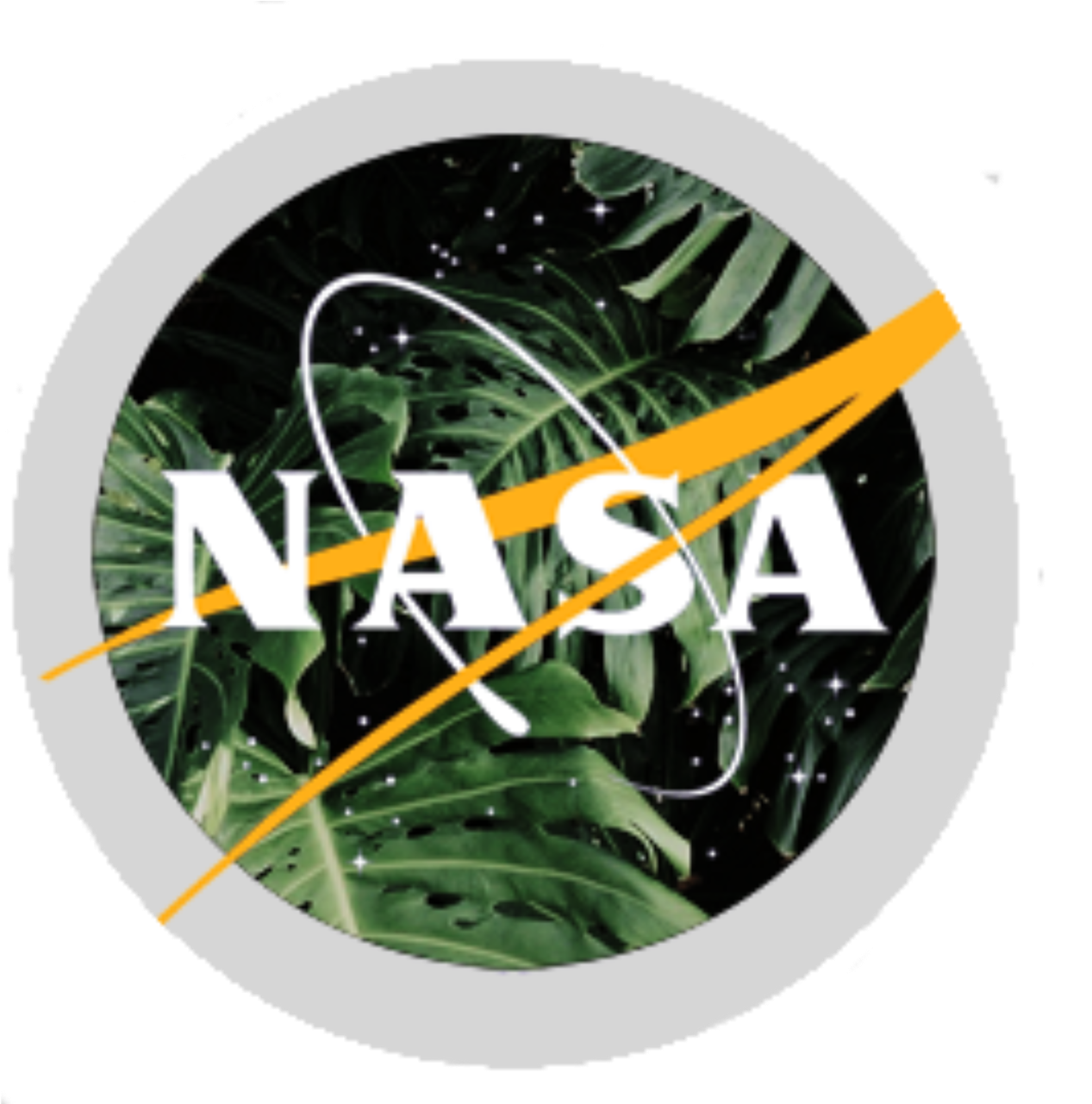 Aesthetic Nasa Logo (1280x1280), Png Download