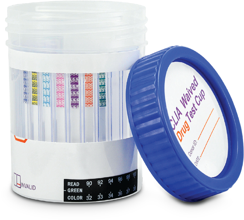 Circle (863x850), Png Download