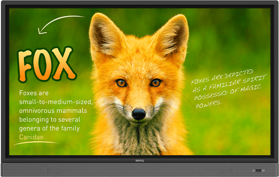 Rp653k 65″ Education Interactive Flat Panel - Benq Rp653k (1000x1000), Png Download