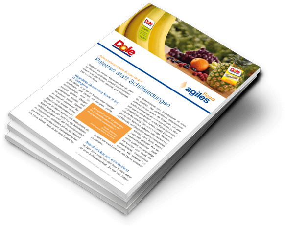 Flyer (600x541), Png Download