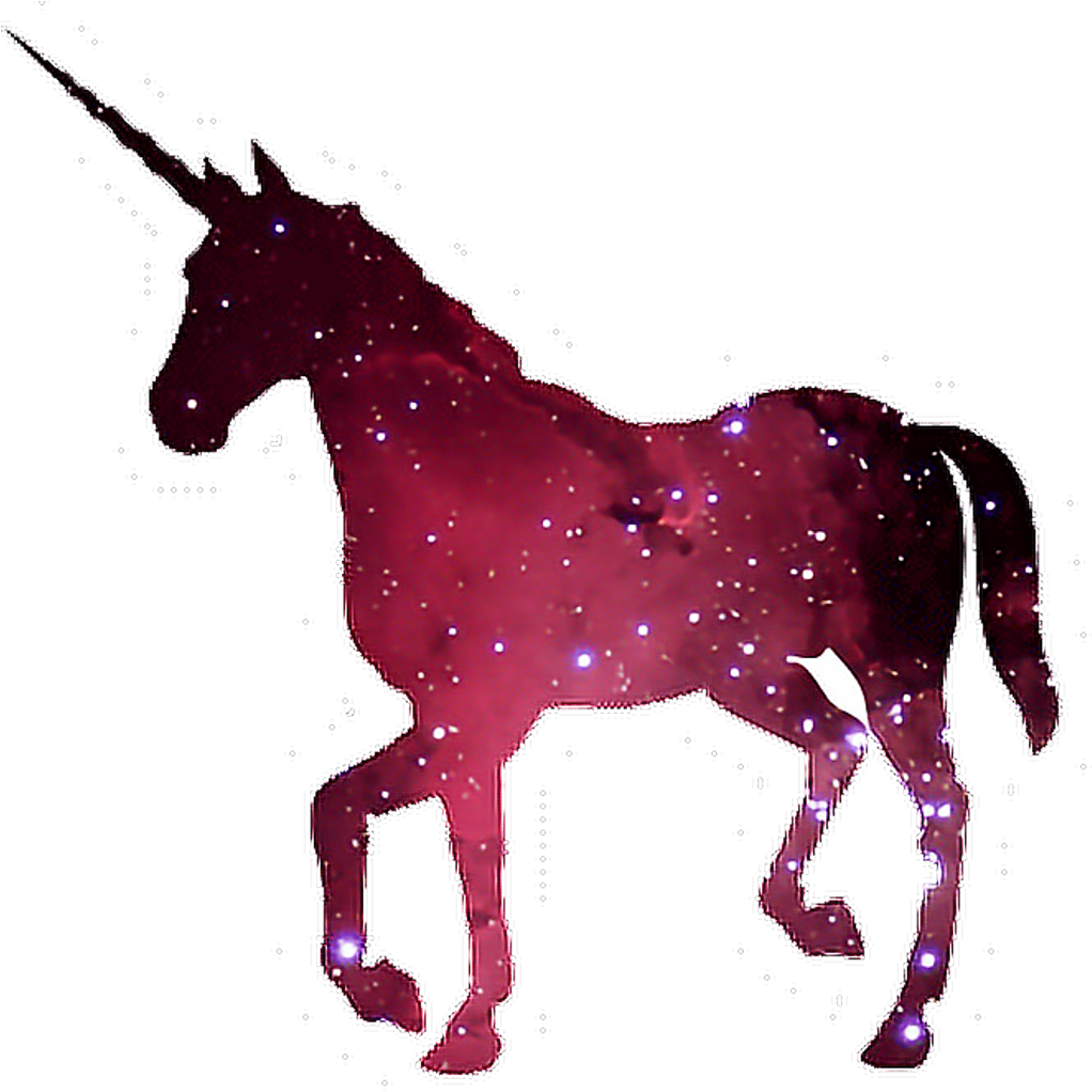 Aesthetic Sticker - Unicornio Blanco Y Negro (1024x1036), Png Download