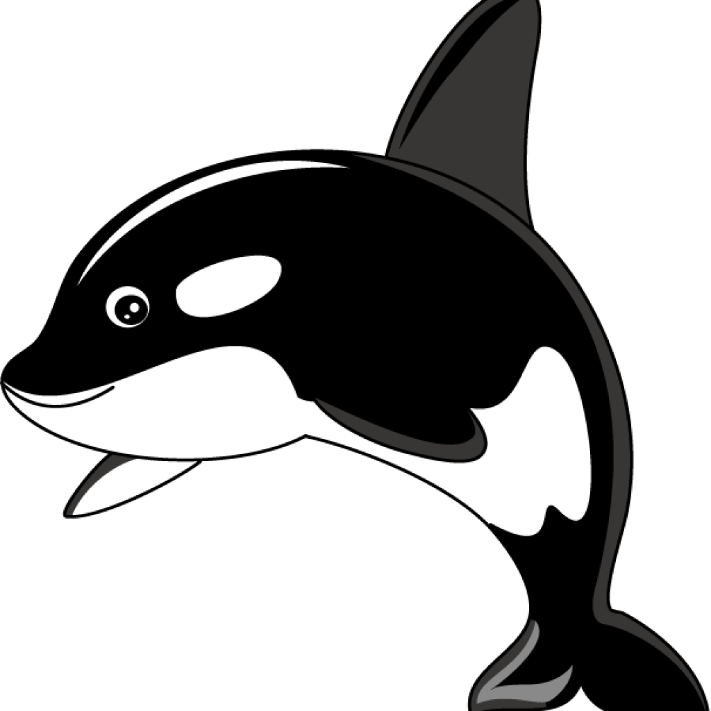 Orca Whale Clipart Orca Whale Clipart Clipart Panda - Killer Whale Cartoon Png (1024x1024), Png Download