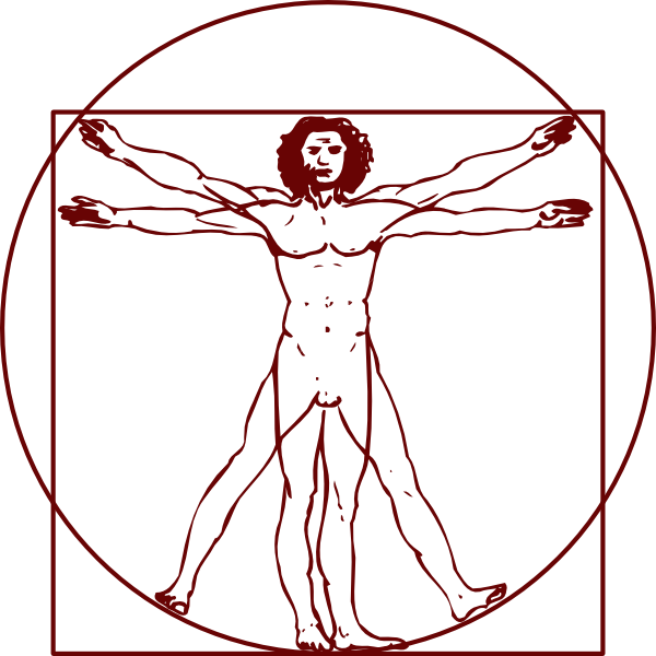 600 X 600 1 - Vitruvian Man Clipart (600x600), Png Download