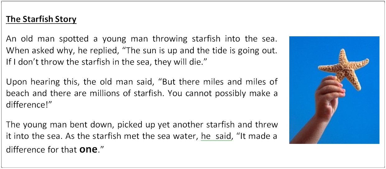 Starfish Story (1255x560), Png Download