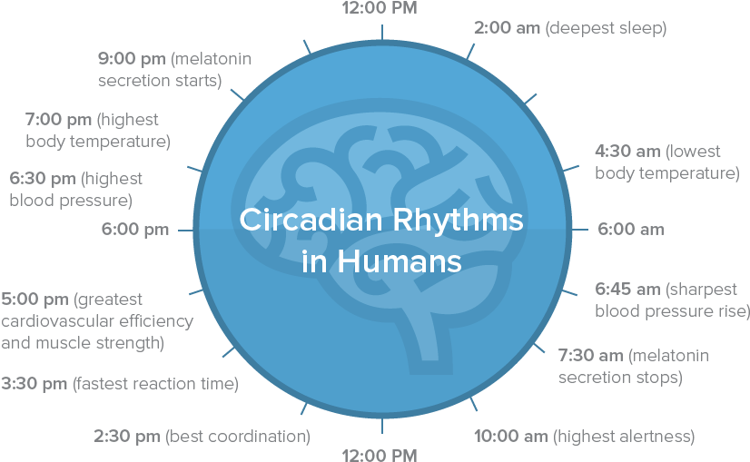 But When We're Staring Into Our Computer Screens, The - Circle (893x611), Png Download
