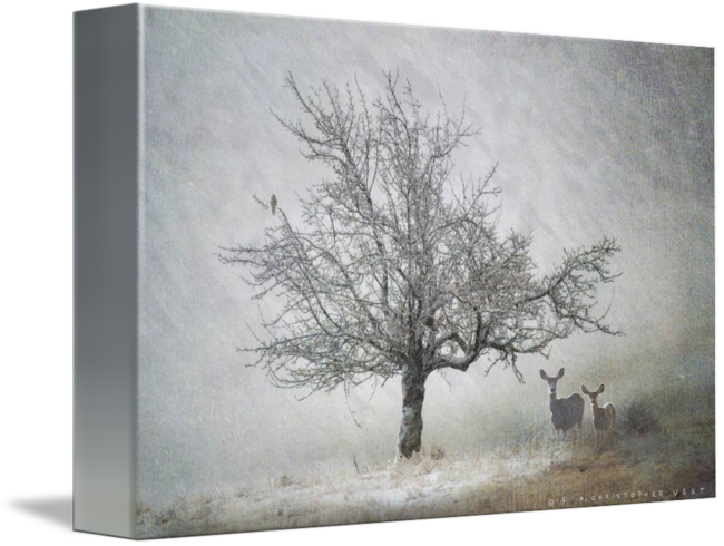 Go To Image - Visual Arts (650x490), Png Download