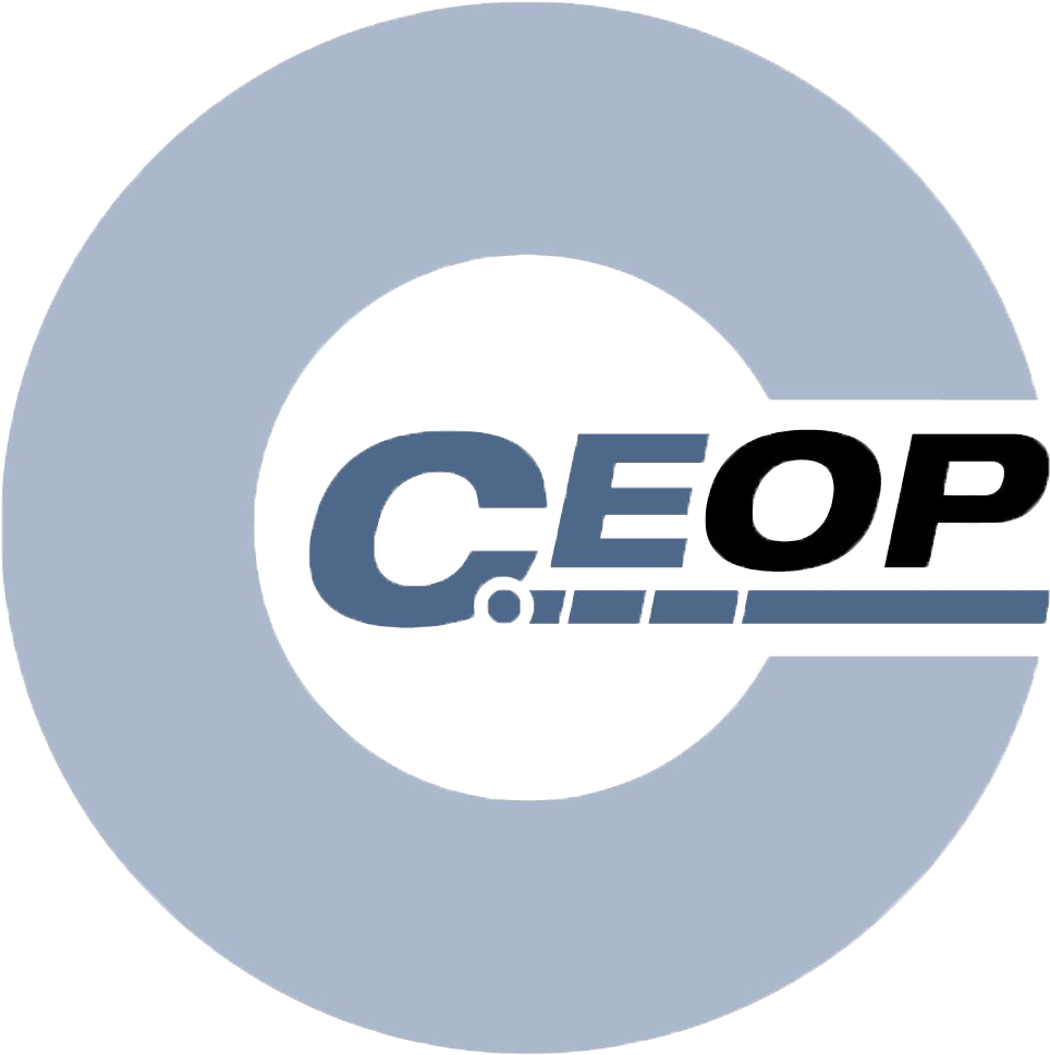 Keeping Safe - » - Internet Safety Ceop (991x990), Png Download