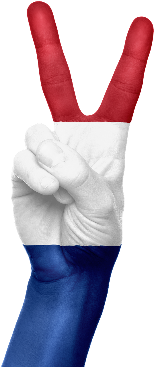 Flag Of The Netherlands (500x1170), Png Download