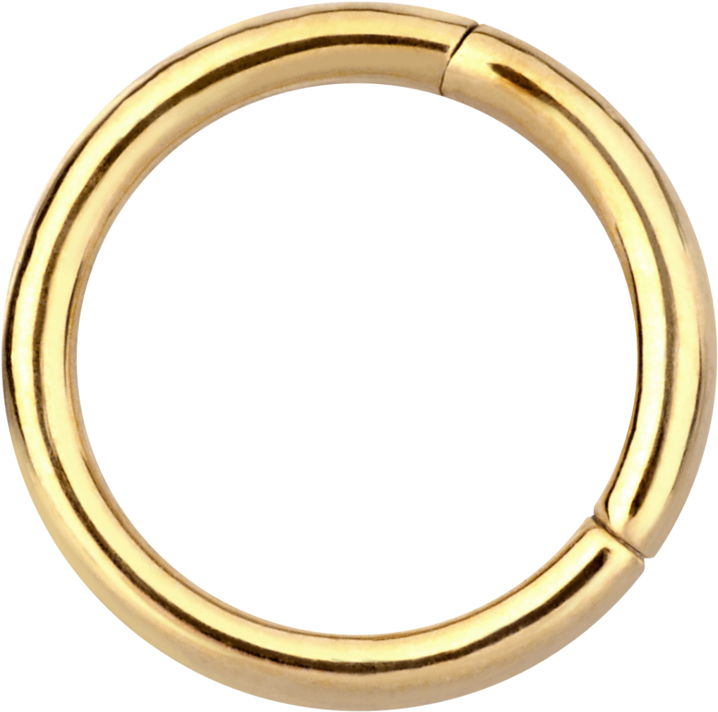 Segment Ring - Body Jewelry (1024x1015), Png Download