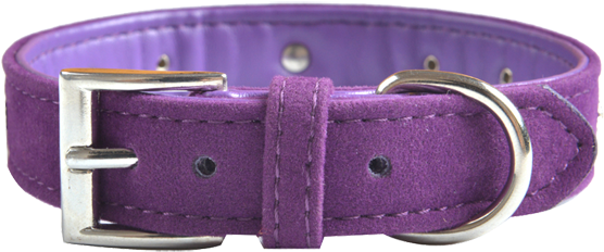 Purple With Diamantes - Buckle (555x700), Png Download