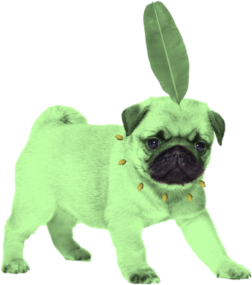Pug Sticker Redbubble (1107x1200), Png Download