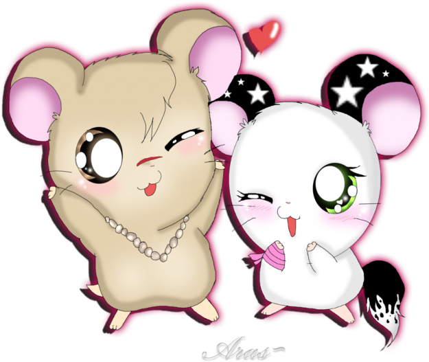 Ham Hamtaro - Cartoon (640x536), Png Download