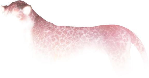 Rose Quartz Crackle Rose Quartz Crackle - Cat Yawns (640x500), Png Download