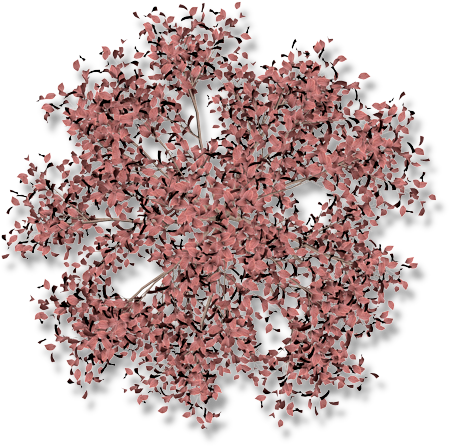 06 Feb 2009 - Gravel (500x500), Png Download