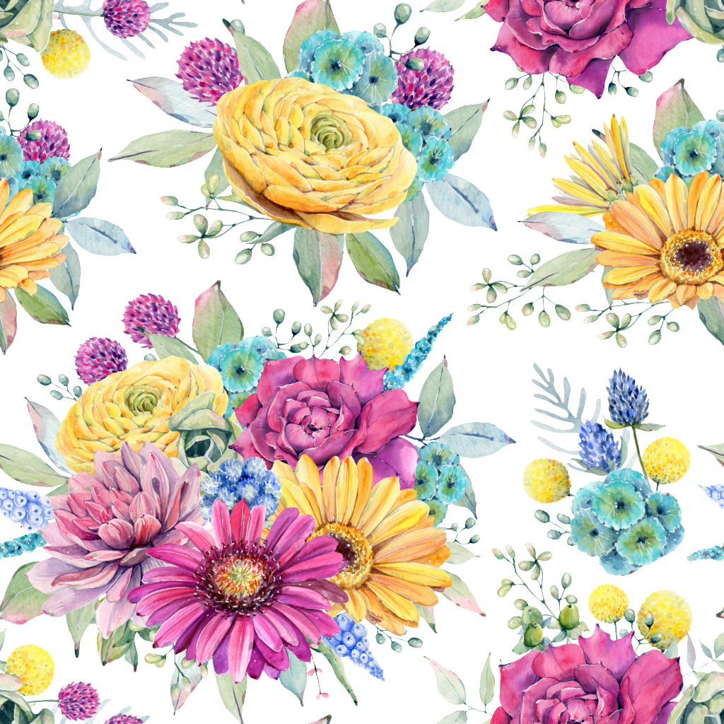 This Backgrounds Is Hand Painted Colored Chrysanthemum - African Daisy (1024x1024), Png Download