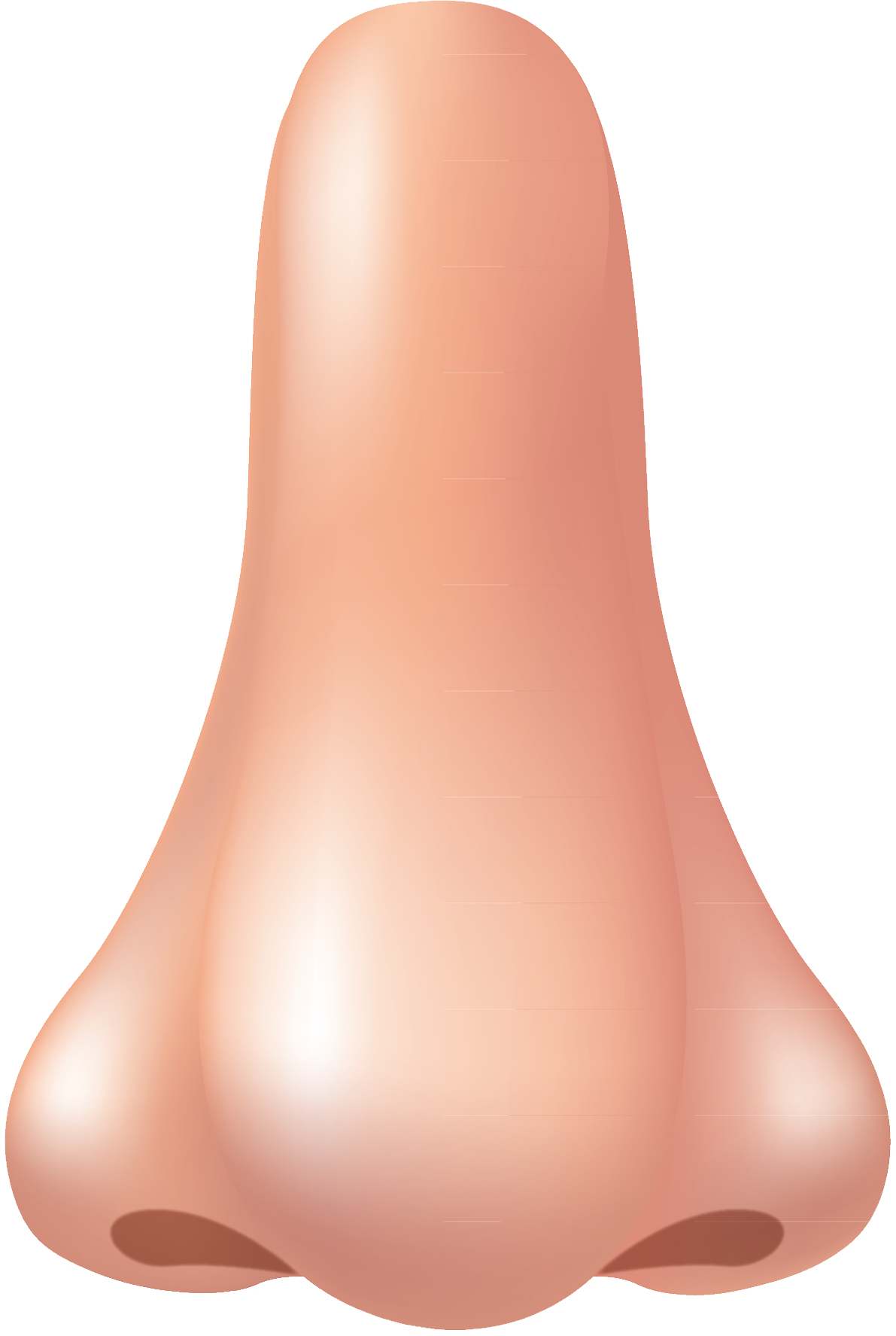 Nose Png (1191x1775), Png Download