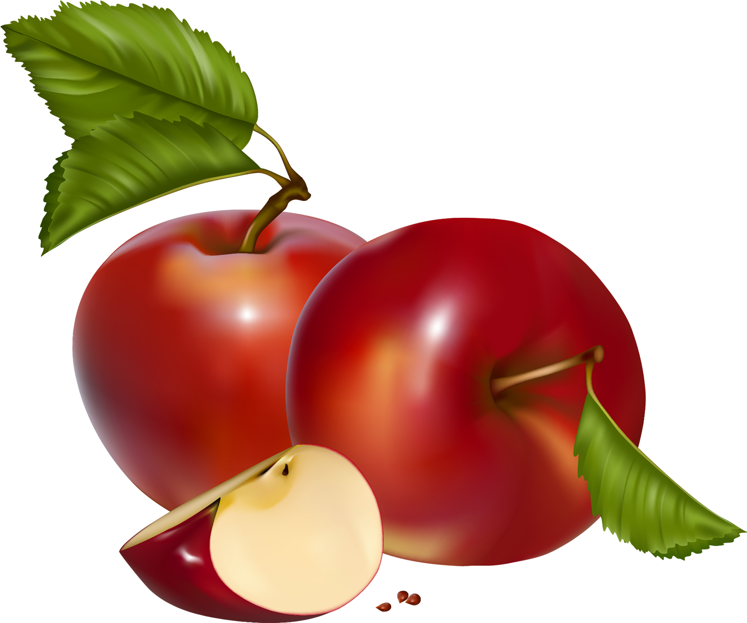 Red Apples Png Clipart - Apples Clipart Png (1554x1296), Png Download