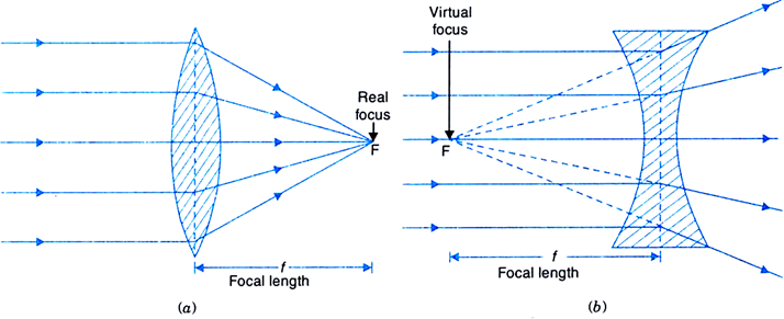 A Concave Lens Diverges The Light Rays Of A Parallel - Portable Network Graphics (714x291), Png Download