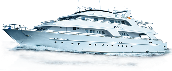 Luxury Transparent Images Pluspng - Яхта Пнг (666x277), Png Download