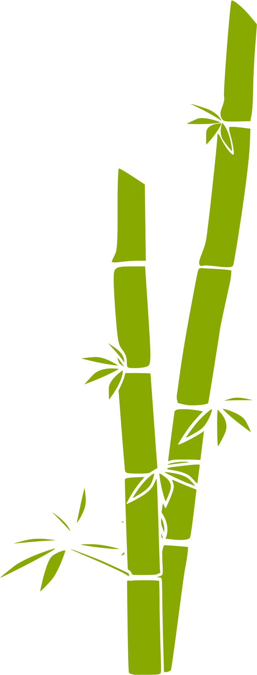 Bamboo Clipart Cross (1331x2333), Png Download