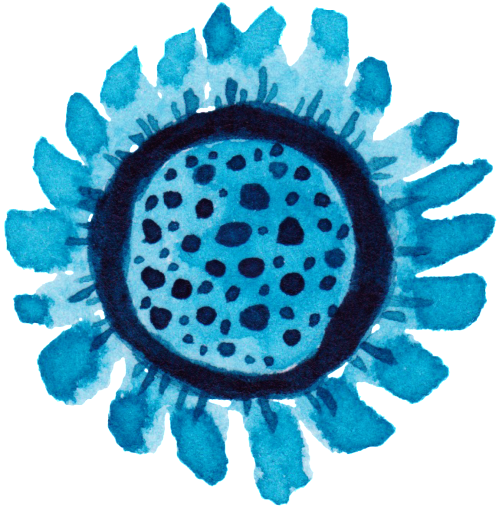 Watercolor Sunflower Decoration Vector - Flower (1024x1040), Png Download