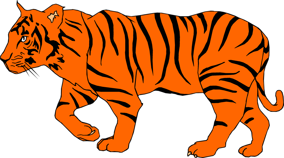 Tigres Clipart Transparent Background - Illustration Of A Tiger (958x533), Png Download