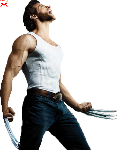 X Men Origins Wolverine (452x580), Png Download