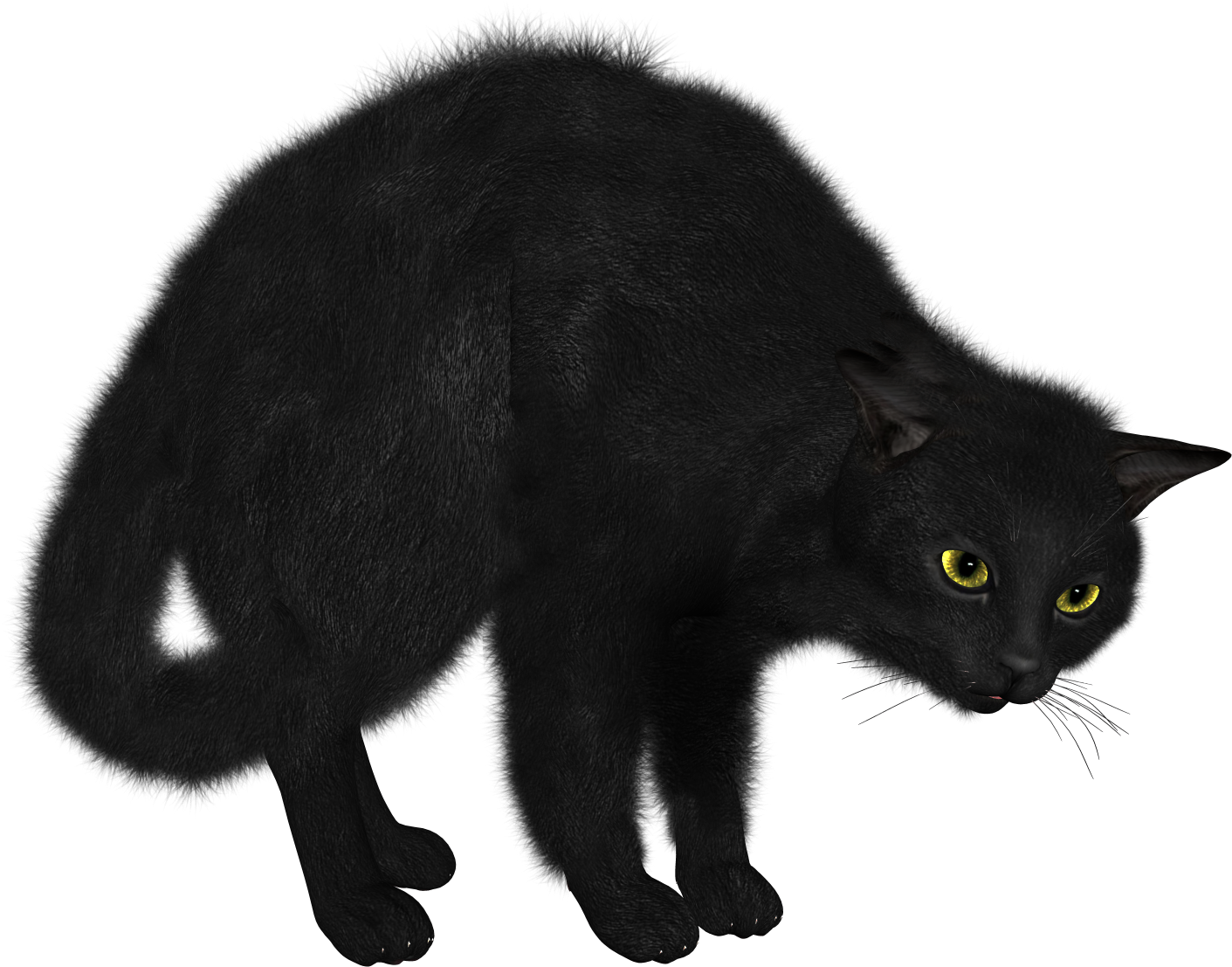Black Cat Transparent Png (1490x1520), Png Download
