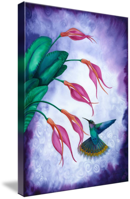 "hummingbird And Orchid Watercolour" By Savanna Redman - Painting (426x650), Png Download