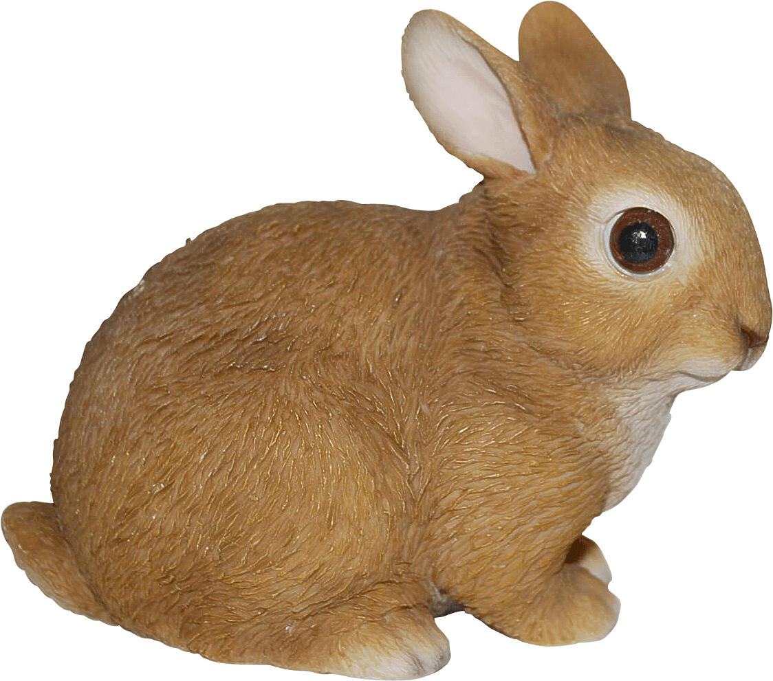 Baby Rabbits In Real Life Png Mart Easter Bunny Nail - Rabbit Real Life (2500x1674), Png Download