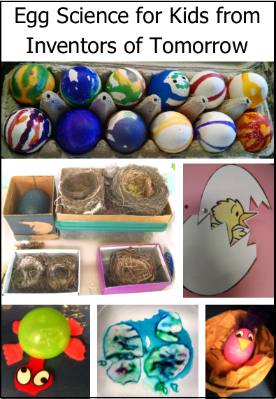 On This Saturday In Spring, Our Class Theme Was Eggs - Hands-on Stem (paperback Set Of 8) (395x571), Png Download