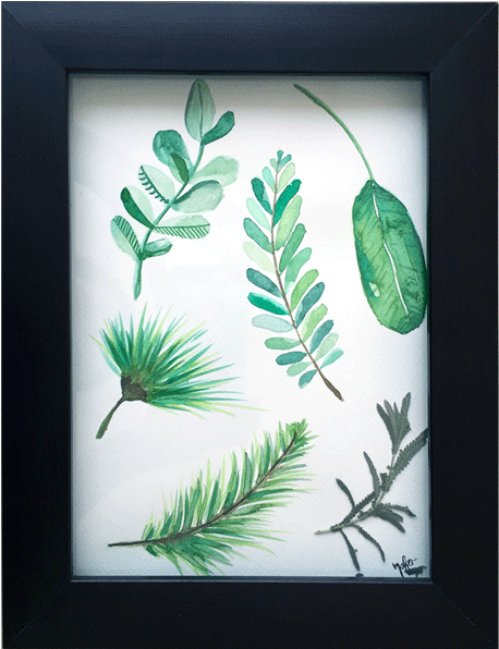 Fern Clipart Watercolor - Picture Frame (610x610), Png Download