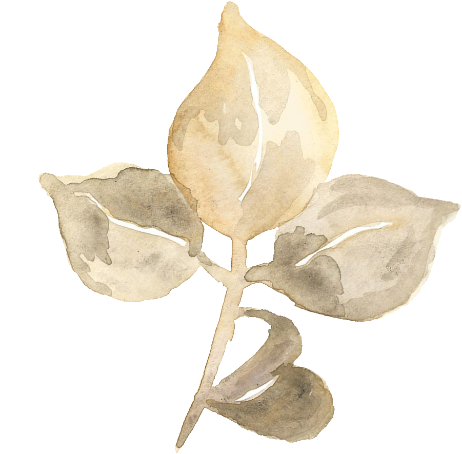 Hand Painted Three Pieces Of Blooming Leaves Transparent - Design (1024x1024), Png Download
