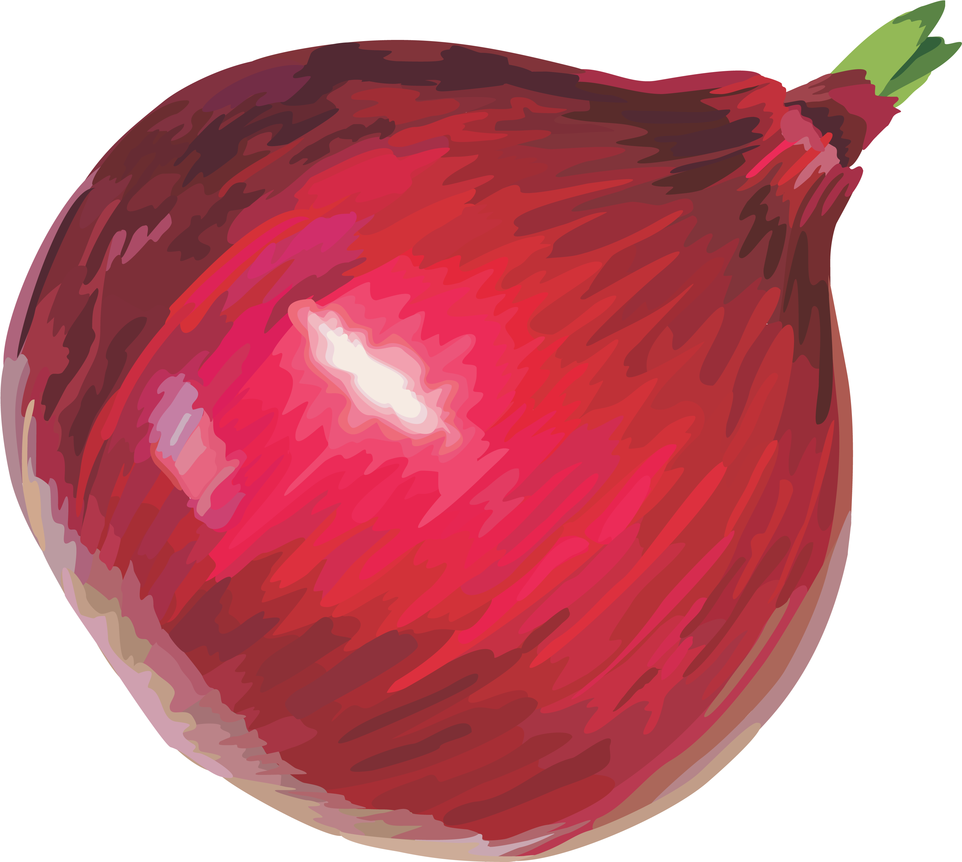 Red Onion Clipart (3351x2991), Png Download