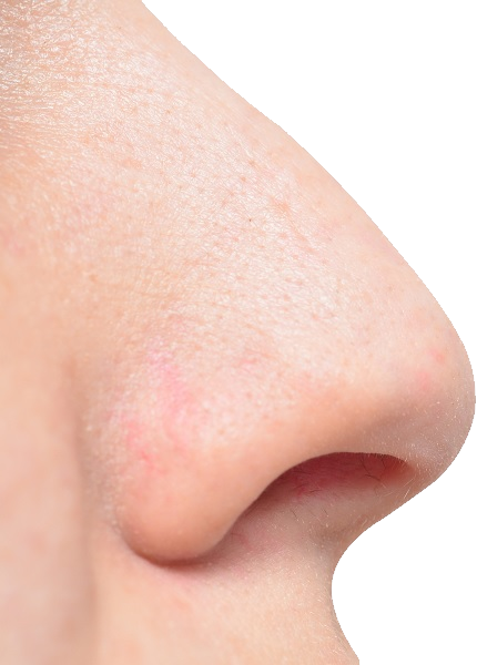 Human Nose Png - Nose Png (430x600), Png Download