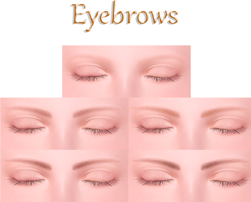 Eyebrow Png Download - Eye Shadow (1024x851), Png Download