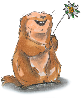 Murmeltier Mit Edelweiß - Masai Lion (517x385), Png Download