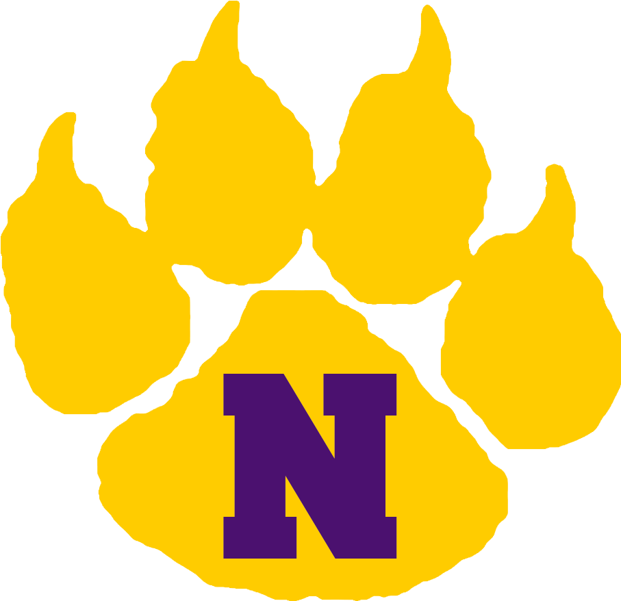 District Combination Mark Logo - Nevada Cubs (1000x1000), Png Download
