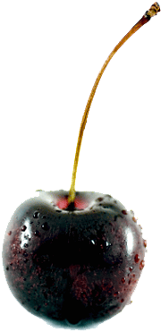 Black Cherry Png File - Black Cherry (480x480), Png Download