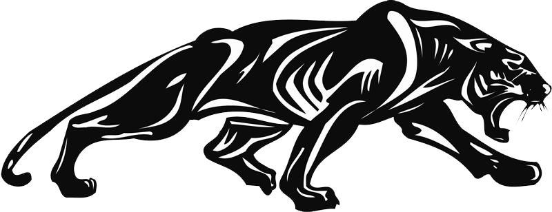 Panther Clipart Transparent - Paramount Charter Academy (800x308), Png Download