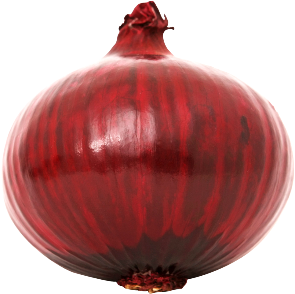 Download Red Onion Png Image - Red Onion Transparent Background (500x504), Png Download