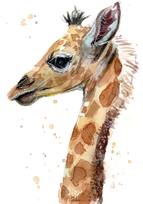 Giraffe Baby Watercolor T (503x700), Png Download