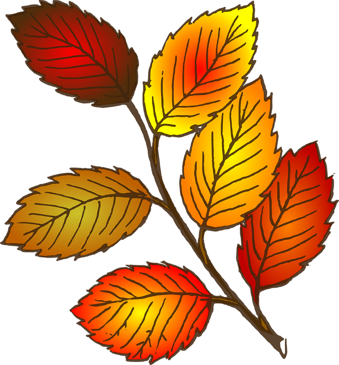 Fall Leaf Clipart - Leaves Clipart (552x594), Png Download