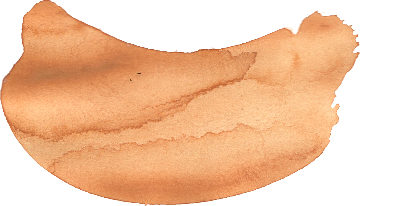 Free Download - Conch (1337x694), Png Download