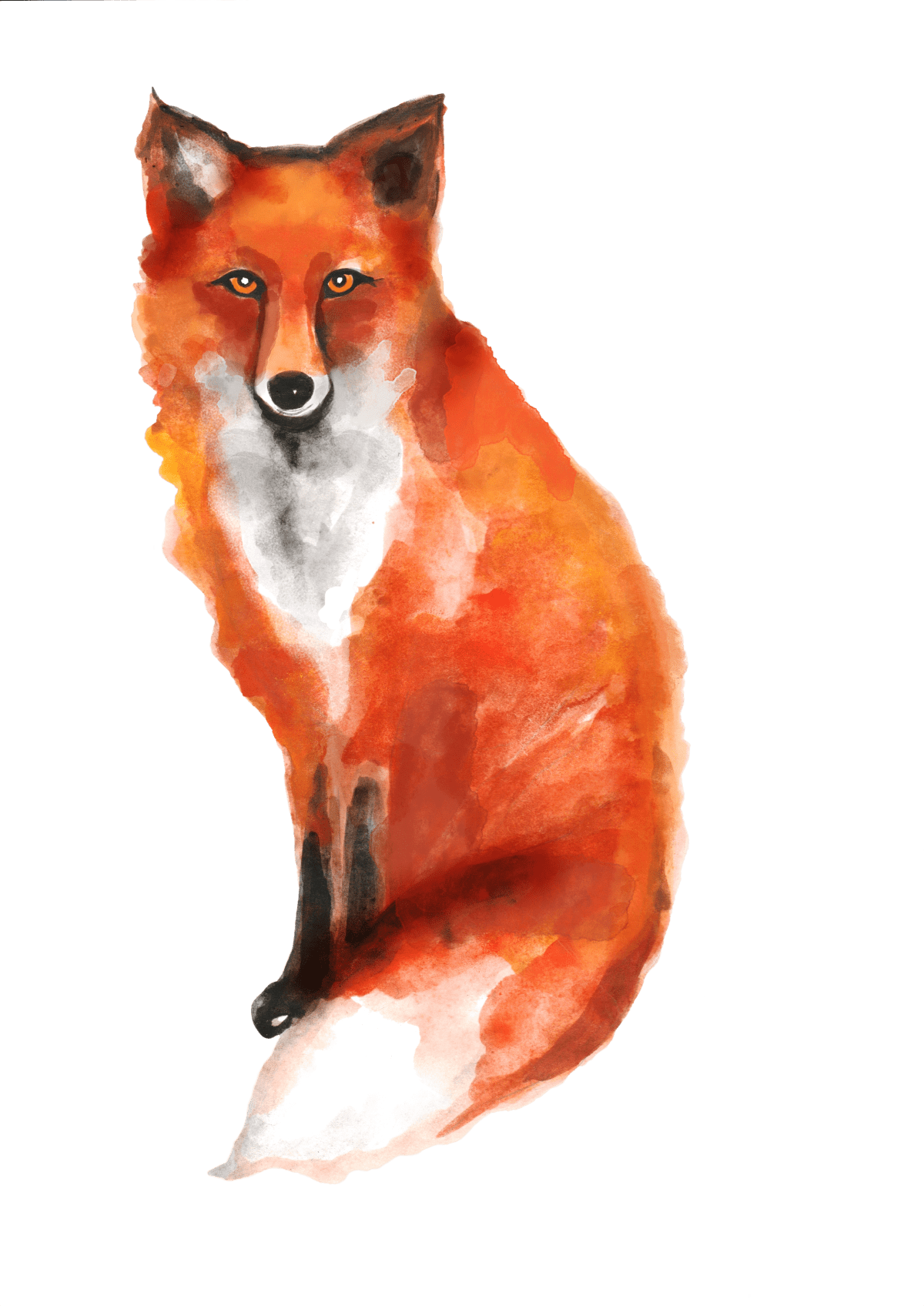 Red Fox (1200x1696), Png Download